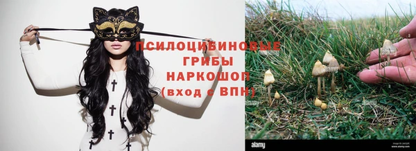 а пвп мука Алзамай